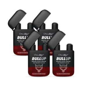 Oveallgo™ BullUp Double Holes Nasal Inhaler