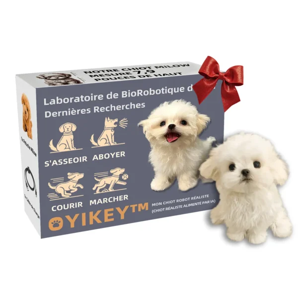 Oyikey™ Licence officielle