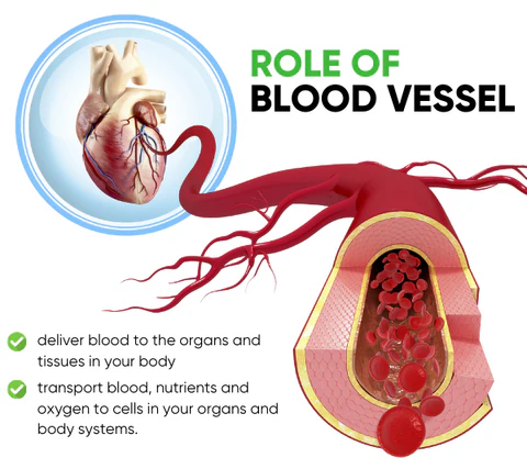 Vasculife Vascular Care Therapeutic Soak